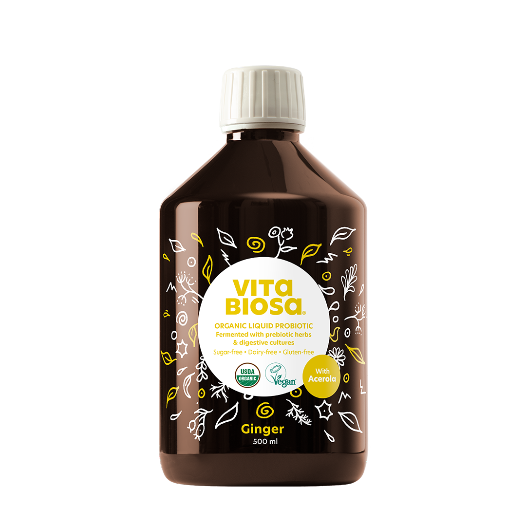 Vita Biosa Ginger 16 fl. oz