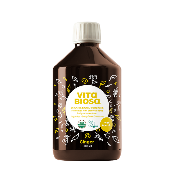 Vita Biosa Ginger 16 fl. oz